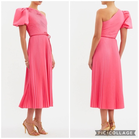 Rebecca Vallance Rosa One Shoulder Pleated Midi Dress in Pink Size US6 AU10 - Picture 3 of 16